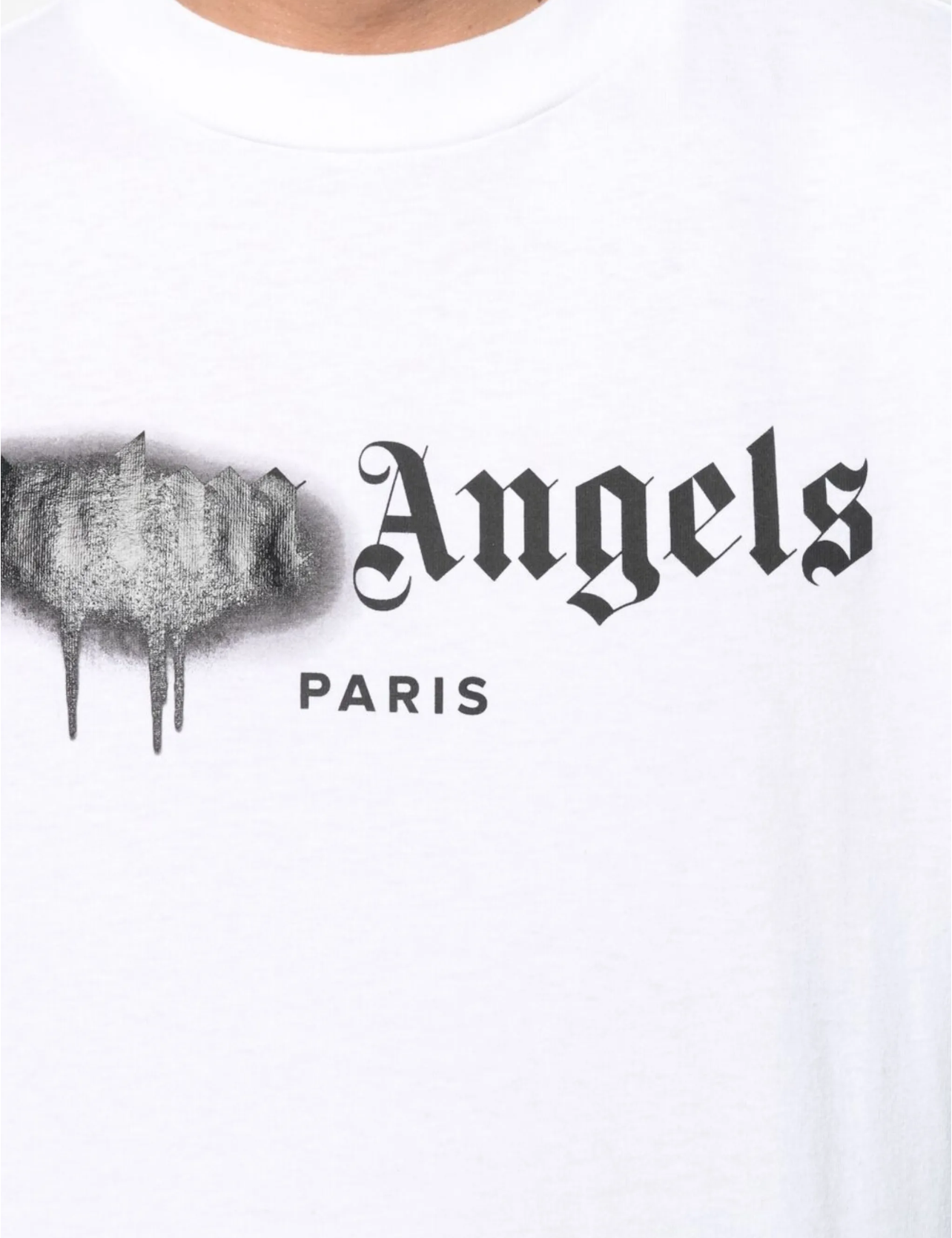 Palm Angels T-Shirt Sprayed Paris